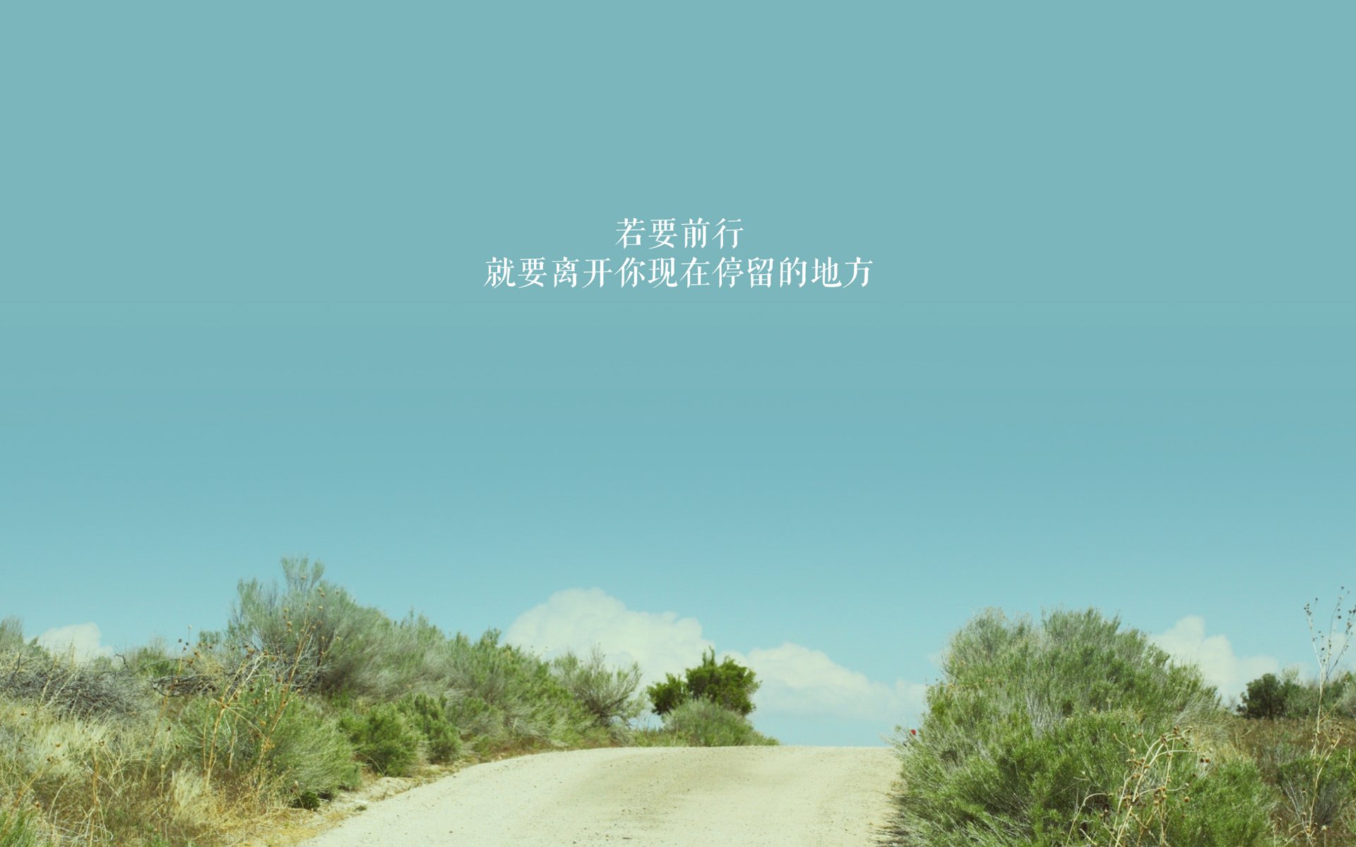 随机逆境中的英雄：WRC车手应对极端天气的精彩瞬间