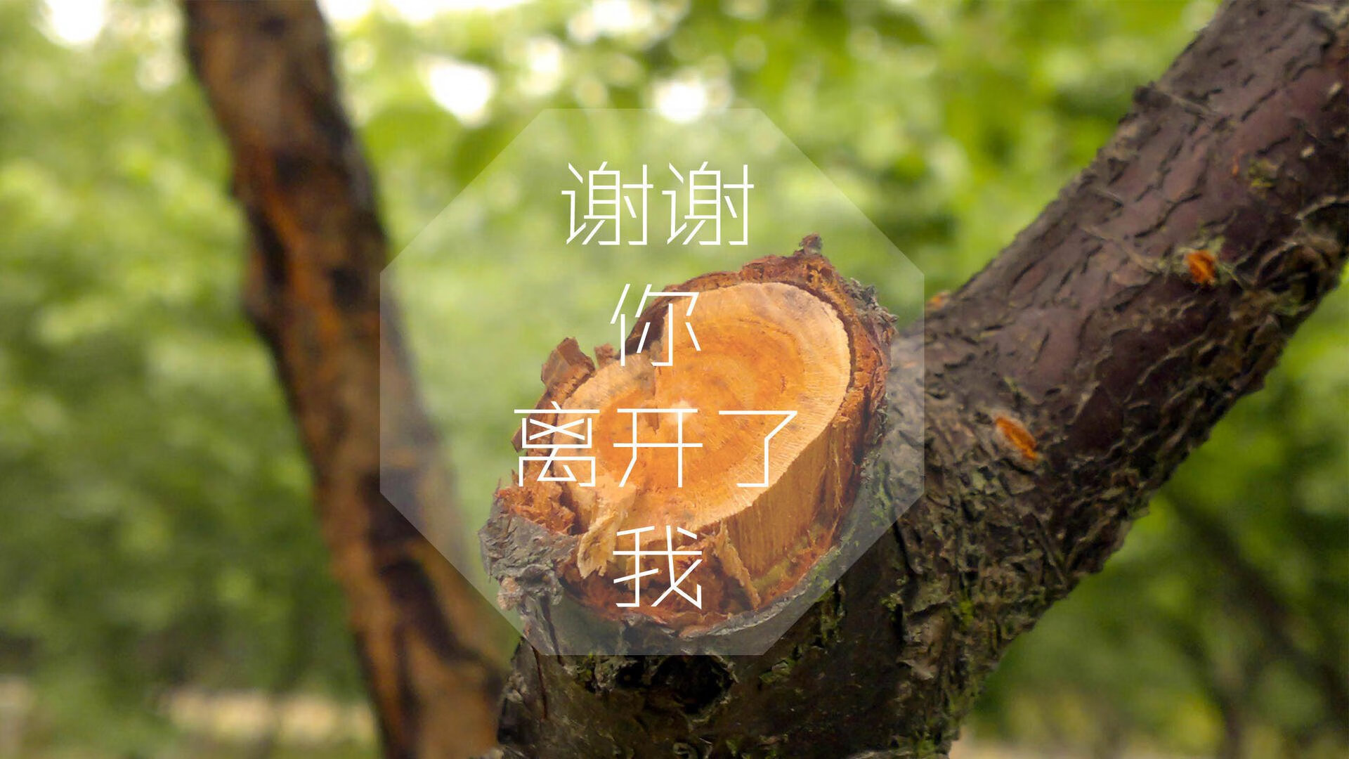 九游游戏中心官网-绝地奋斗，女足队员亮剑世界舞台，女足霸主