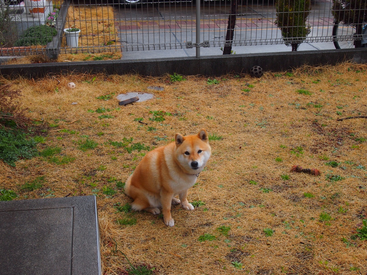 九游app官网下载-加拿大队未来前景：如何增强团队协作，提升整体作战能力，加拿大队员