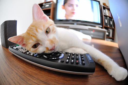 九游APP官网-电竞官方赛事标准持续优化推动行业健康发展，电竞的赛制