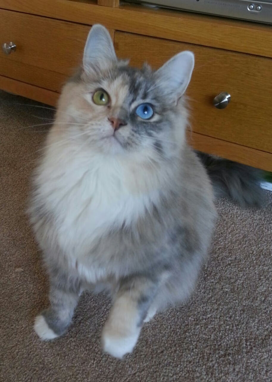 九游网-足球文化创新缺乏动力,足球的创新点在哪里