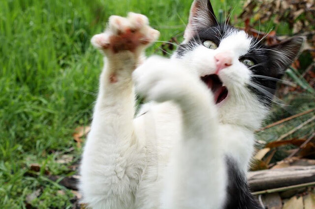 九游网-足球文化创新缺乏动力,足球的创新点在哪里