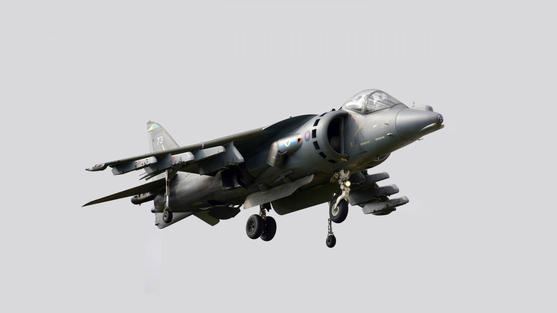 “诺克·达维德·彼得森：南非橄榄球新一代领军人物”