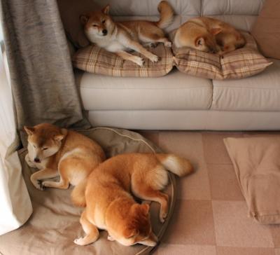 九游jiuyou-中国足球职业联赛逐步引入俱乐部绩效评级模型，我国足球联赛等级