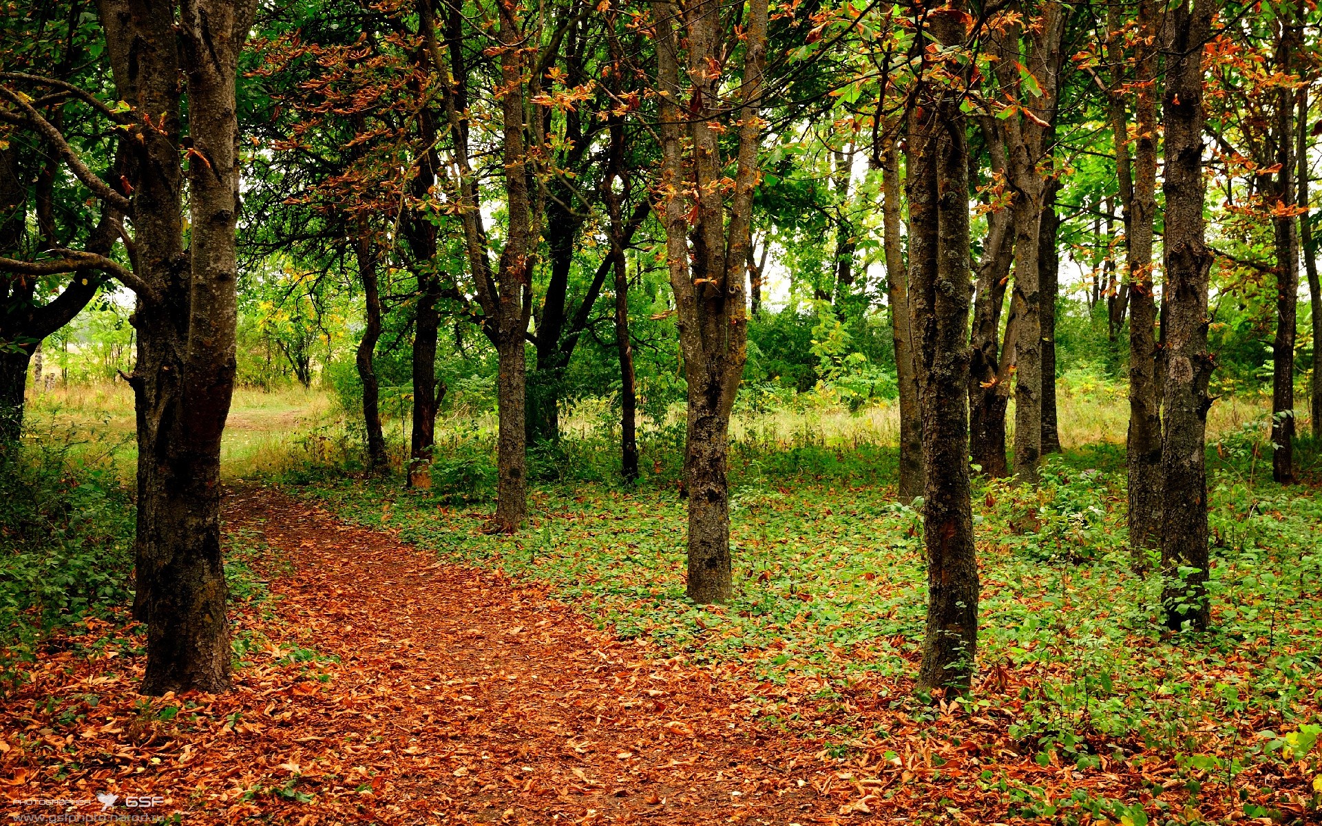 Jiuyou-国际交流合作增多有望推动本土联赛水平提升，国际交流合作的障碍是什么