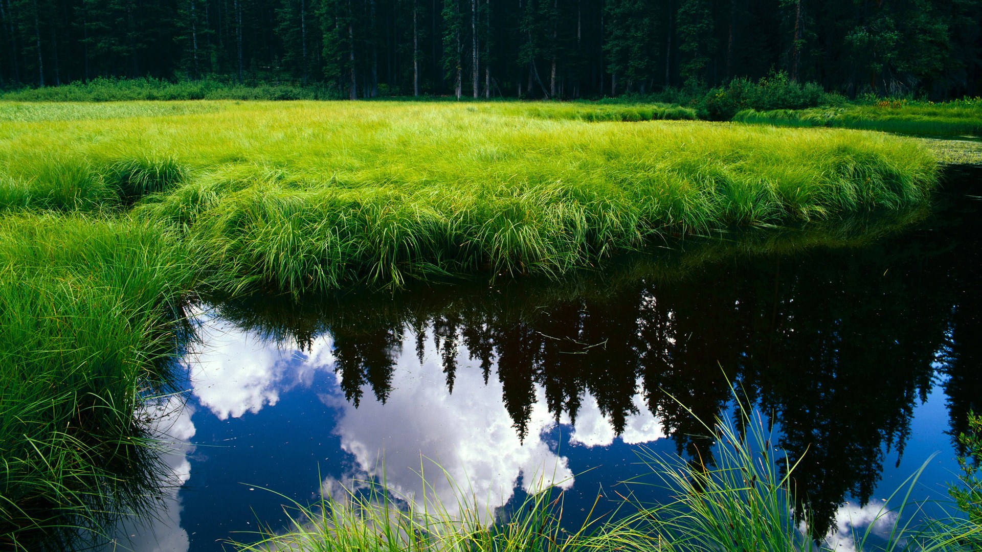 九游网页版官网-女子篮球训练强化对抗能力提高比赛竞争力，女子篮球训练计划项目