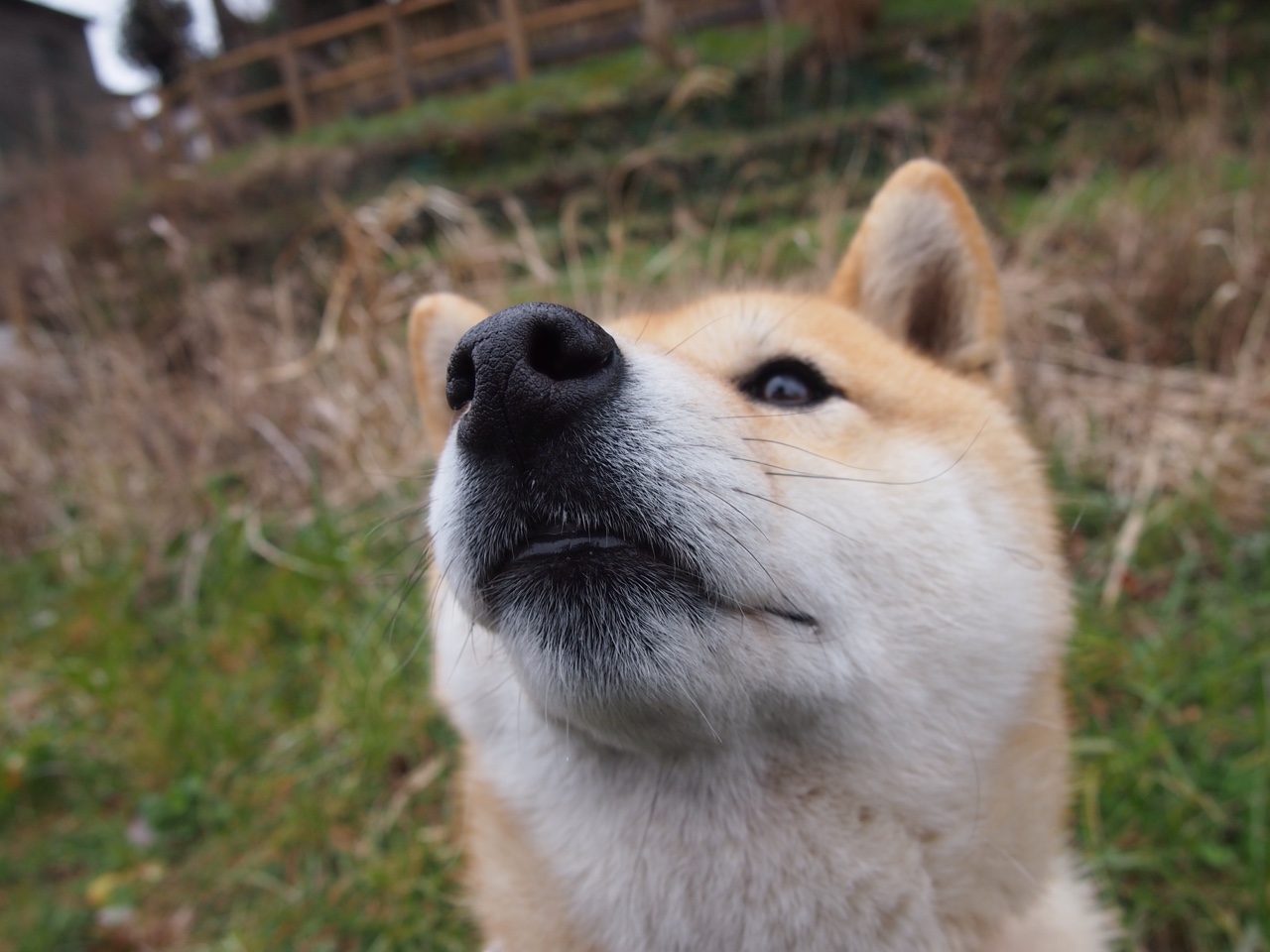 九游网页版官网-跳水细节出彩希腊稳定晋级，希腊奥运会跳水意外夺冠