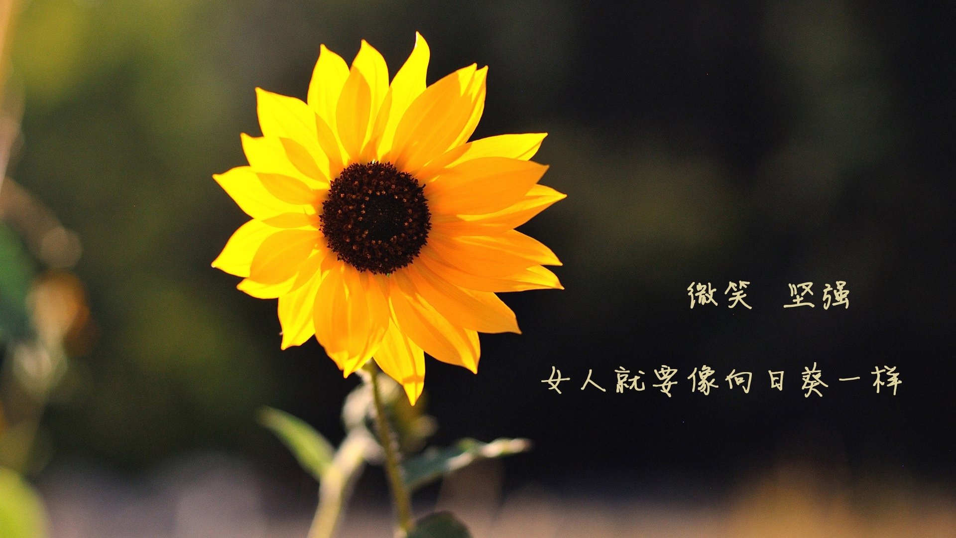 JiuyouAPP下载-高校足球比赛中出现新颖战术引讨论，高校足球发展的目的及意义